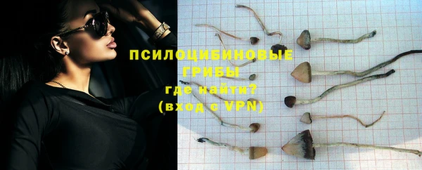 крисы Алексеевка