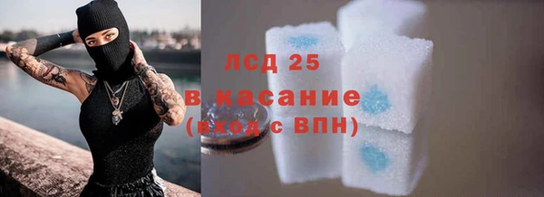 крисы Аркадак