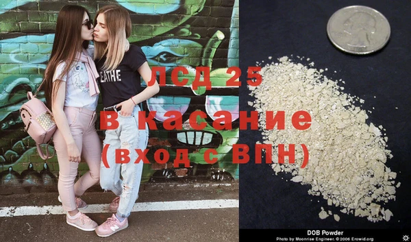 ПСИЛОЦИБИНОВЫЕ ГРИБЫ Алзамай