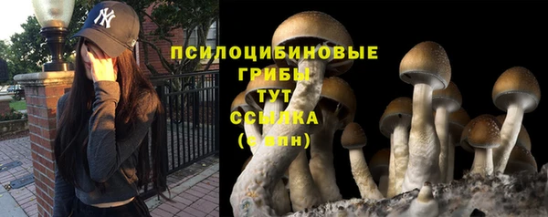 мет Алексин