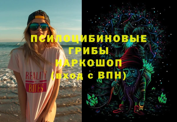 мет Алексин