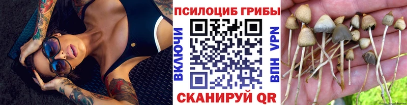 где можно купить наркотик  Еманжелинск  Галлюциногенные грибы прущие грибы 