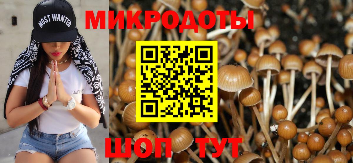 Еманжелинск  Галлюциногенные грибы Cubensis  Вход с VPN 