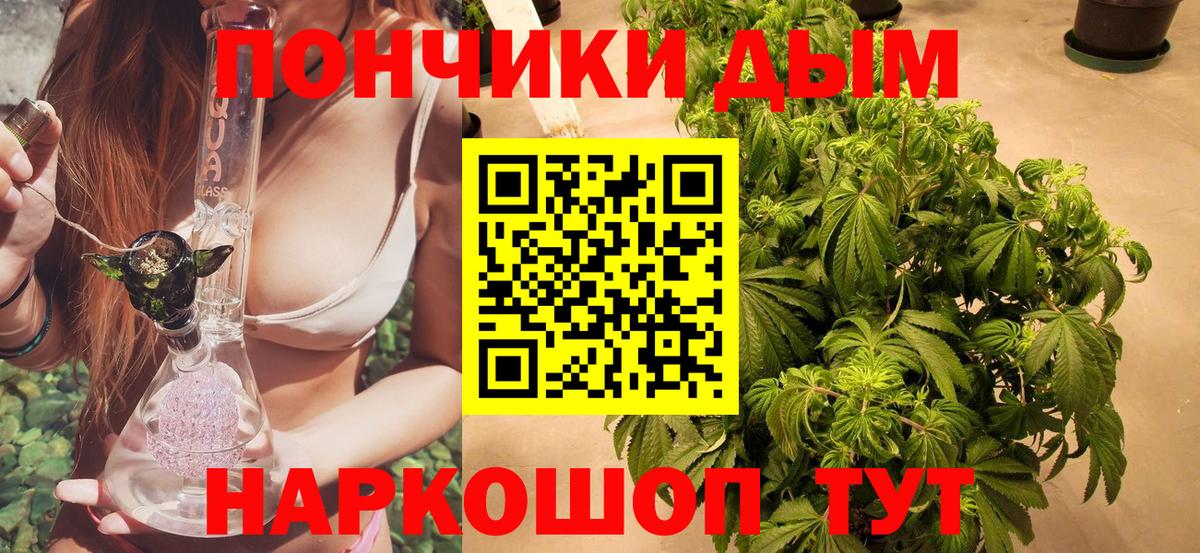 Шишки марихуана планчик  Вход с VPN  Еманжелинск  Бошки Шишки Ganja  Марихуана индика 